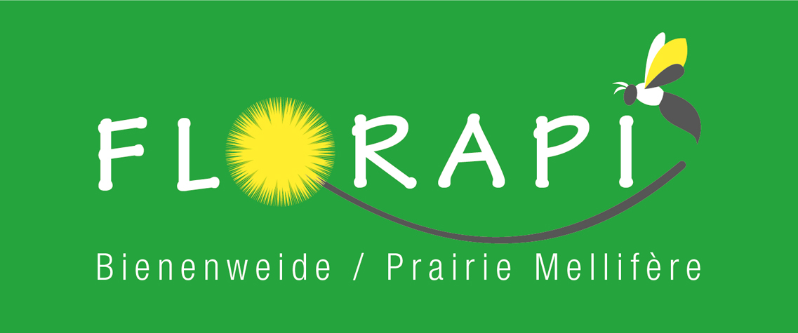 ILLUSTRATION | Florapi ILLUSTRATION | Florapi