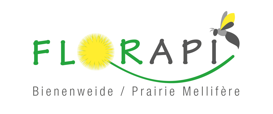 ILLUSTRATION | Florapi ILLUSTRATION | Florapi