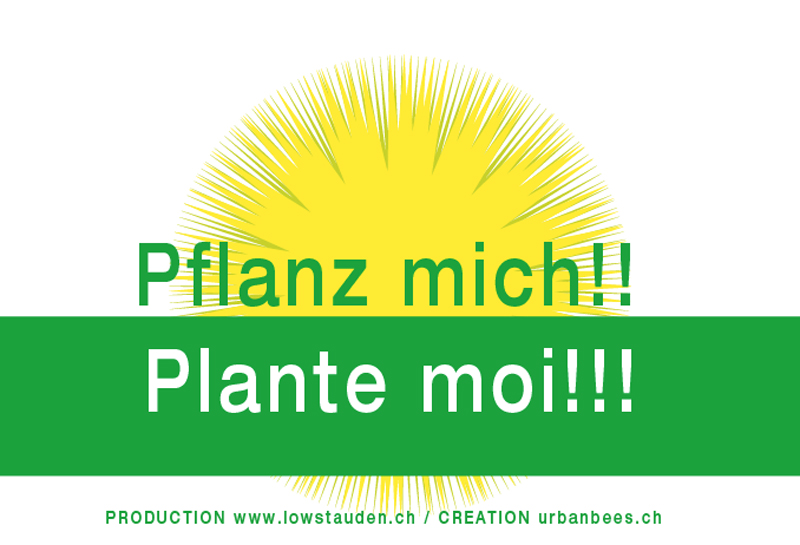 ILLUSTRATION | Florapi ILLUSTRATION | Florapi