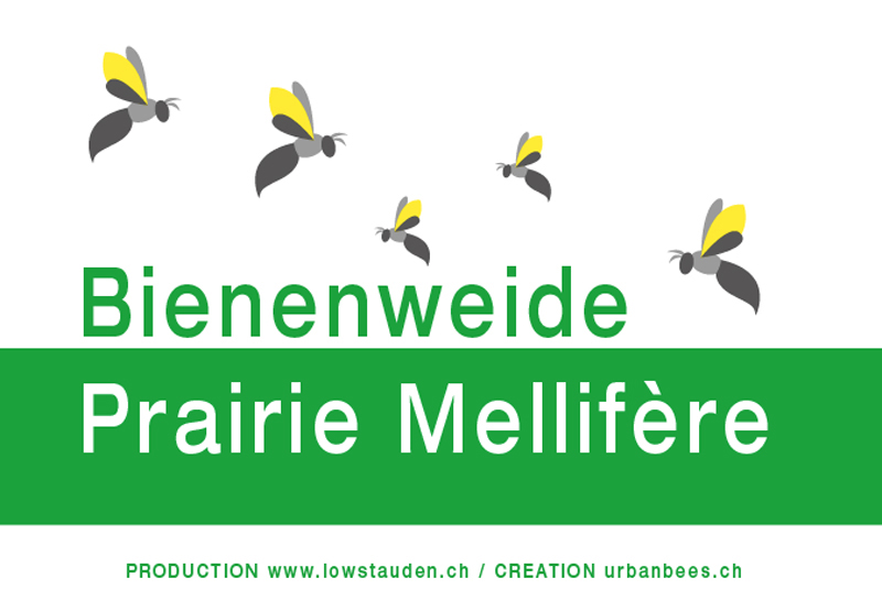 ILLUSTRATION | Florapi ILLUSTRATION | Florapi